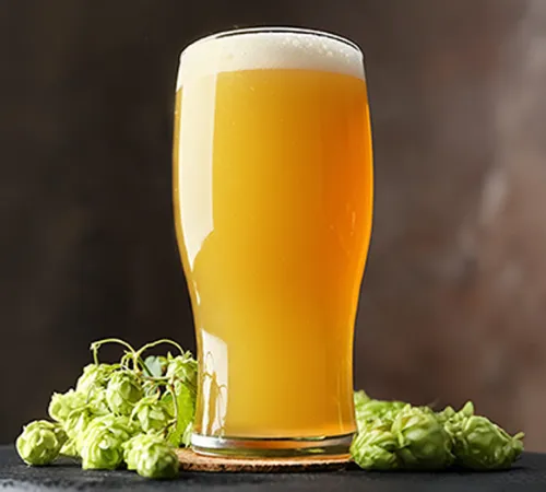 Mango Cider Bar in Bangalore