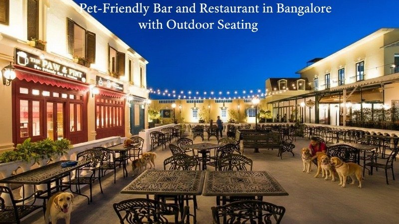 Pet-Friendly Bar and Restaurant in Bangalore with Outdoor Seating